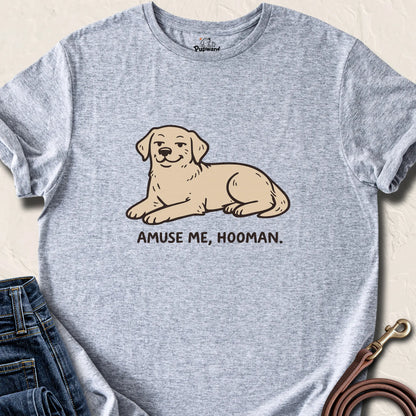 Amuse Me Hooman — Sport Grey standard