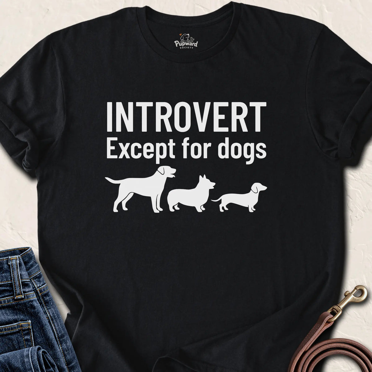 Introvert Except For Dogs — Black standard