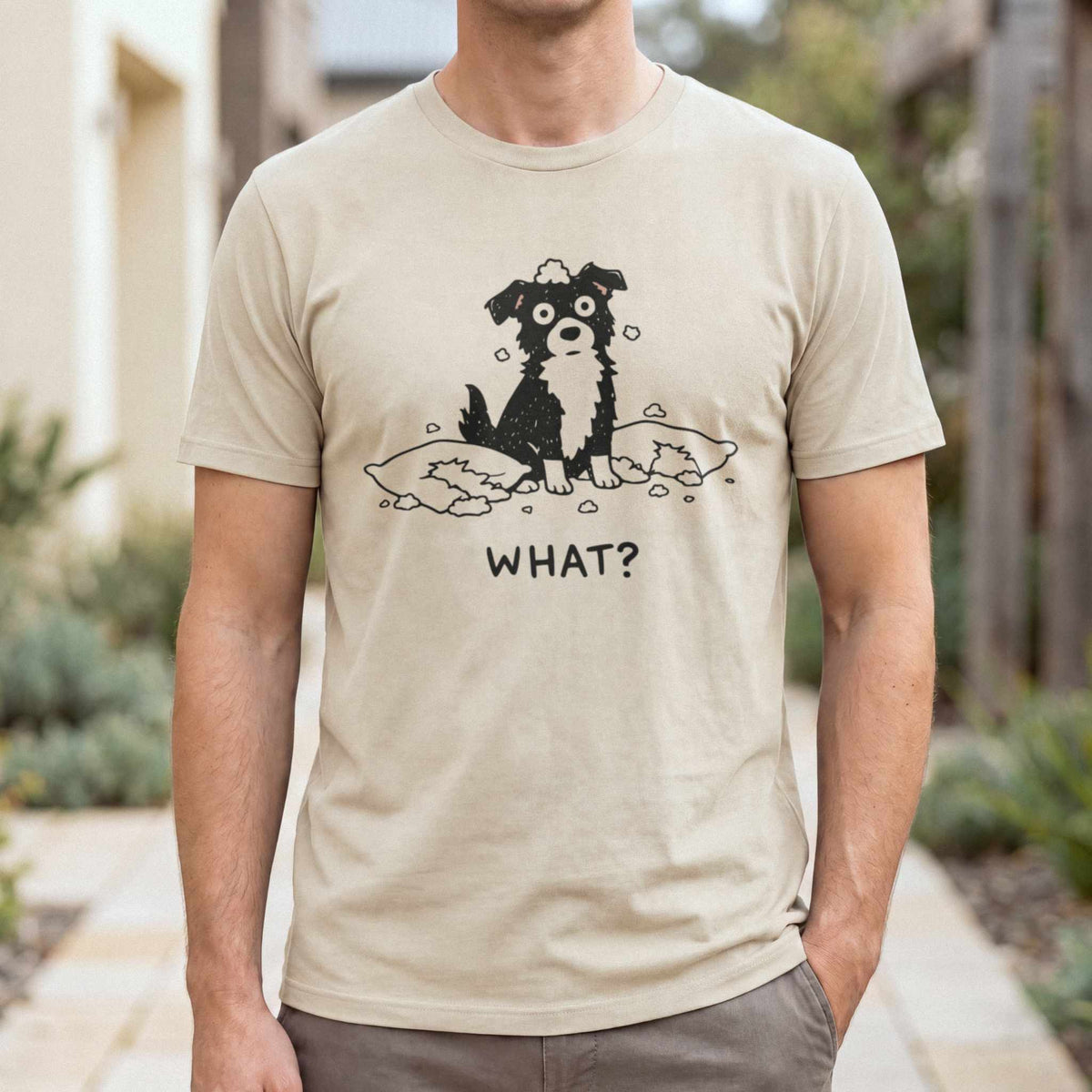 Dog Asks What? — Sand male